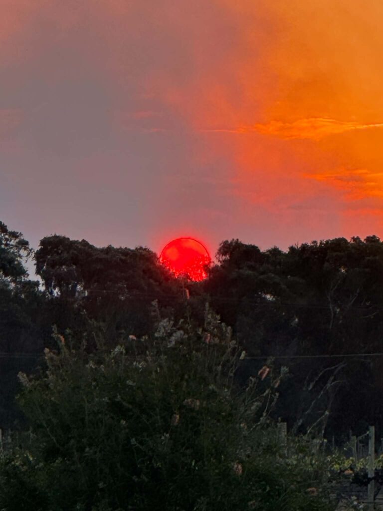 Red sun glowing through smoke from a nearby fire during dry spring conditions at Jester Hill Wines.